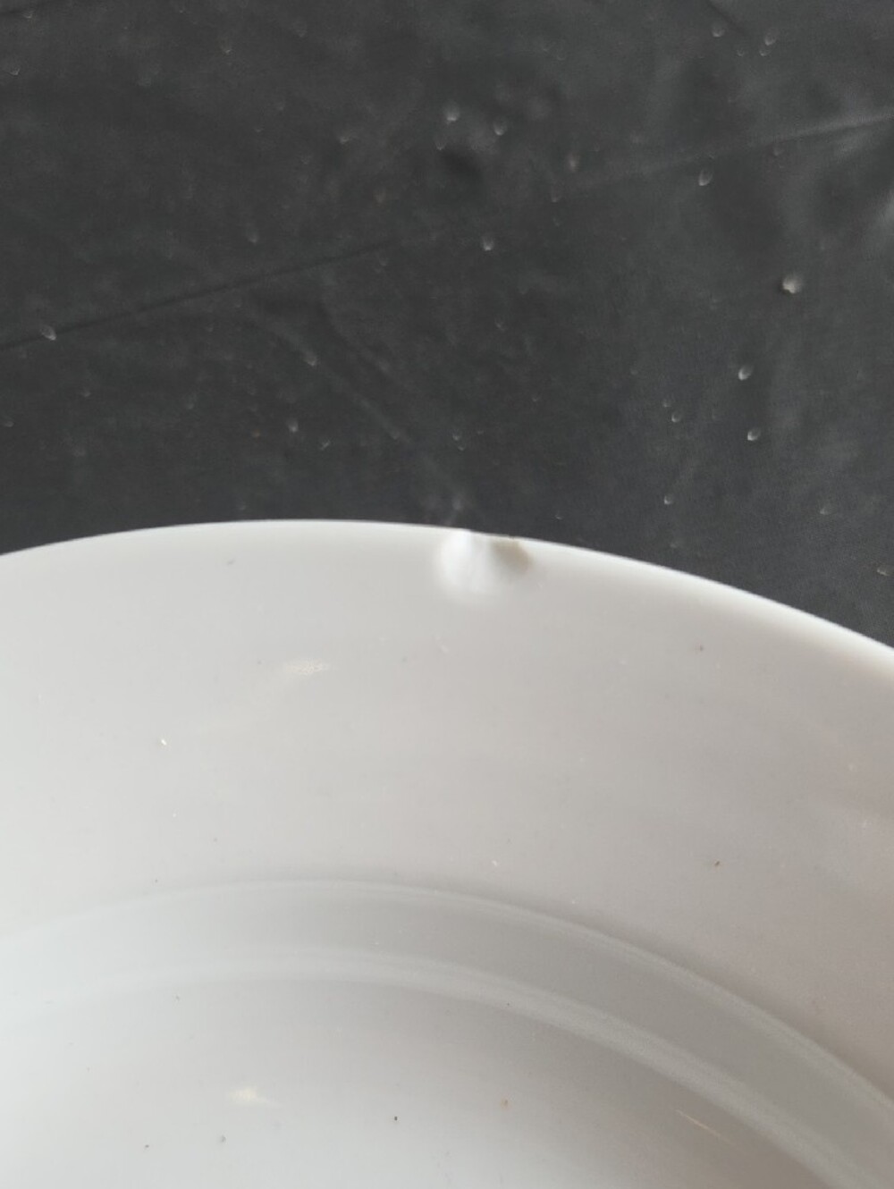 COOKS White Dinner Plates with Black Leaf Motif - Set of 2 CALLOUT-2 Chips - Picture 3 of 4